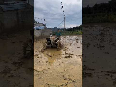 Boy found old tractor #shortsvideo