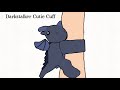 Video Tutorial Quiz