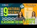Chemical Reactions and Products