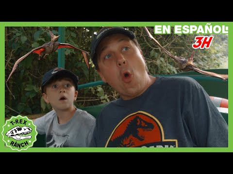 Diferentes tipos de dinosaurios 🦖🦕 | Videos de dinosaurios y juguetes para niños