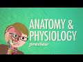 Anatomy and Physiology Concepts