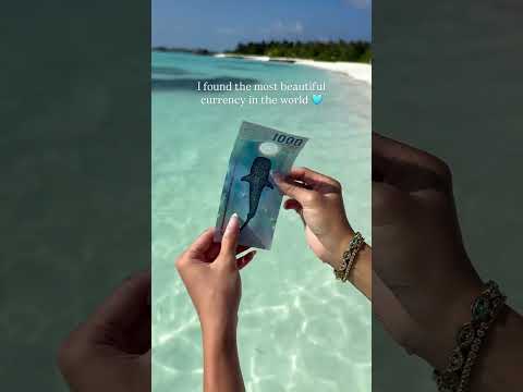 Guess the country 🩵 . . . . . #travel #fyp #oceanlover blue ocean, traveling, exploring, travel