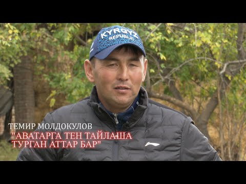 1+1 интервью/ Темир Молдокулов “Достукта машыктыруучу болуп калам деп ойлойм”