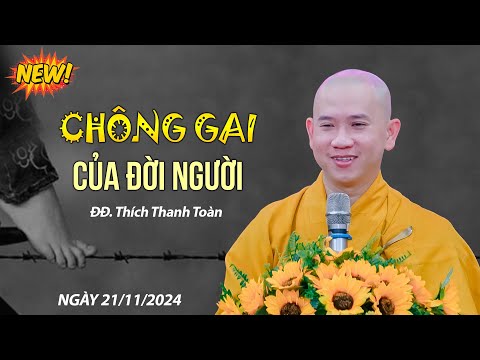 CHÔNG GAI của đời người - ĐĐ. Thích Thanh Toàn (21/11/2024)