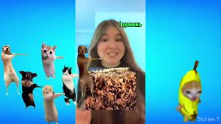СБОРНИК ЛУЧШИХ ВИДЕО