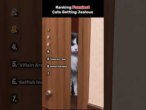 Ranking Funniest Cats Getting Jealous #shorts #cat