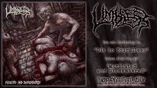 Limbless - "Die in Your Sleep" (Mutilated And Dismembered | NSE 2025)