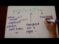 Exploring Quadratic Transformations in Vertex Form