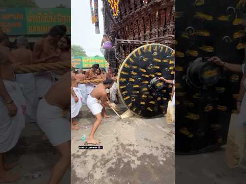 Biggest Yatra Of Universe Day 24 🕉️🔱🚩 #shorts #jagannath #mahadev #rathyatra #shortsfeed