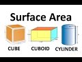Understanding Cubes and Cuboids