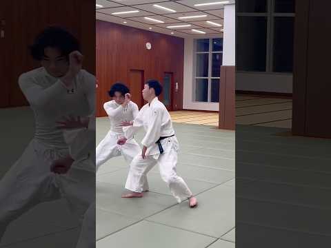 中段突き小手返し#aikido #aikido #aikidotechniques #martialarts #武道 #japan #selfdefense #shortsvideo #kenny