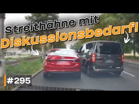 Einsender wird verfolgt, Streitereien & Betrunkener Radfahrer | #GERMAN #DASHCAM | #295