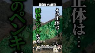 【前代未聞】中国にある緑の山...正体は『ペンキ』！？ 環境対策と称した〇〇の真相とは #shorts