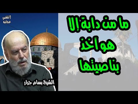 الشيخ بسام جرار | تفسير-  ما من دابة إلا هو آخذ بناصيتها
