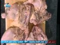 طريقة عمل روستو اوراك الدجاج | الشيف محمد حامد
