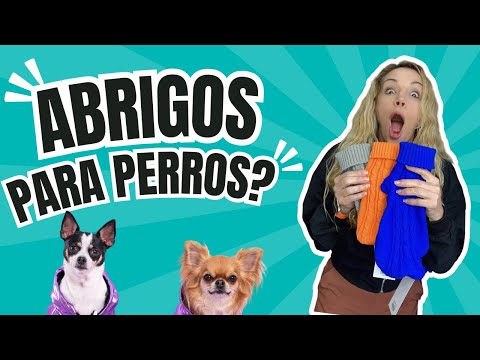 Abrigos para perros ?? SI O NO 👎😱#peluqueríacanina #perros #estilismocanino #pets #escuelacanina