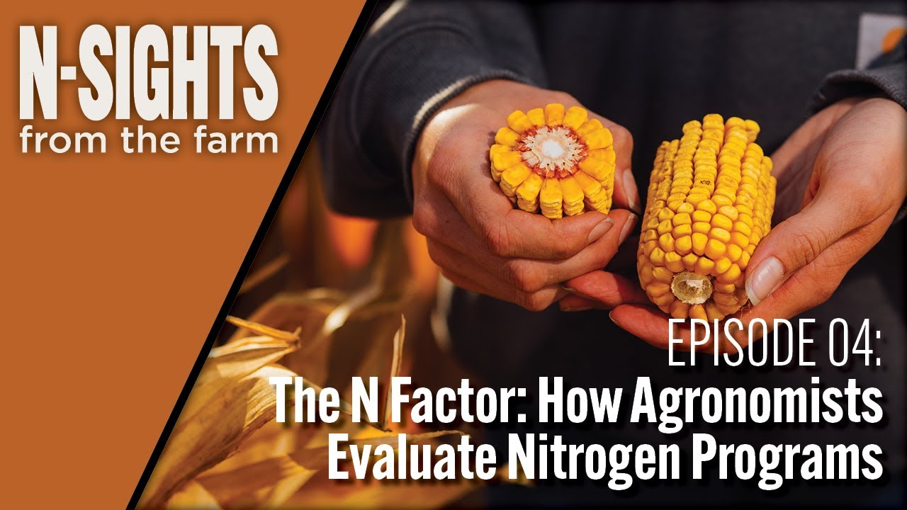 The N Factor: How Agronomists Evaluate Nitrogen Programs