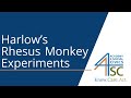 Harlow's Attachment Theory Insights