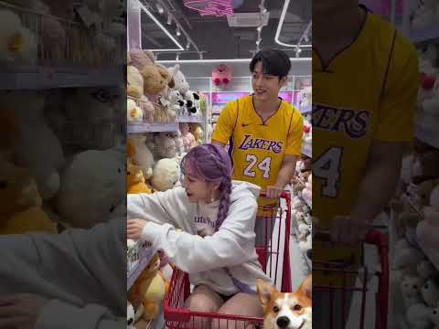 #jinu #kpop #rumi #dog #puppy