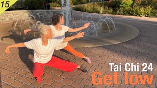 TAI CHI: Get Low into Balance #fallprevention #healthyaging #martialarts