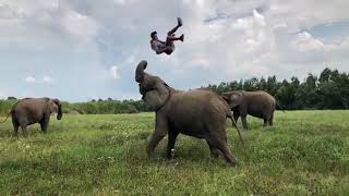 Nailed it! 🐘😳🙌 @Rene Casselly(No Fake Gossip)