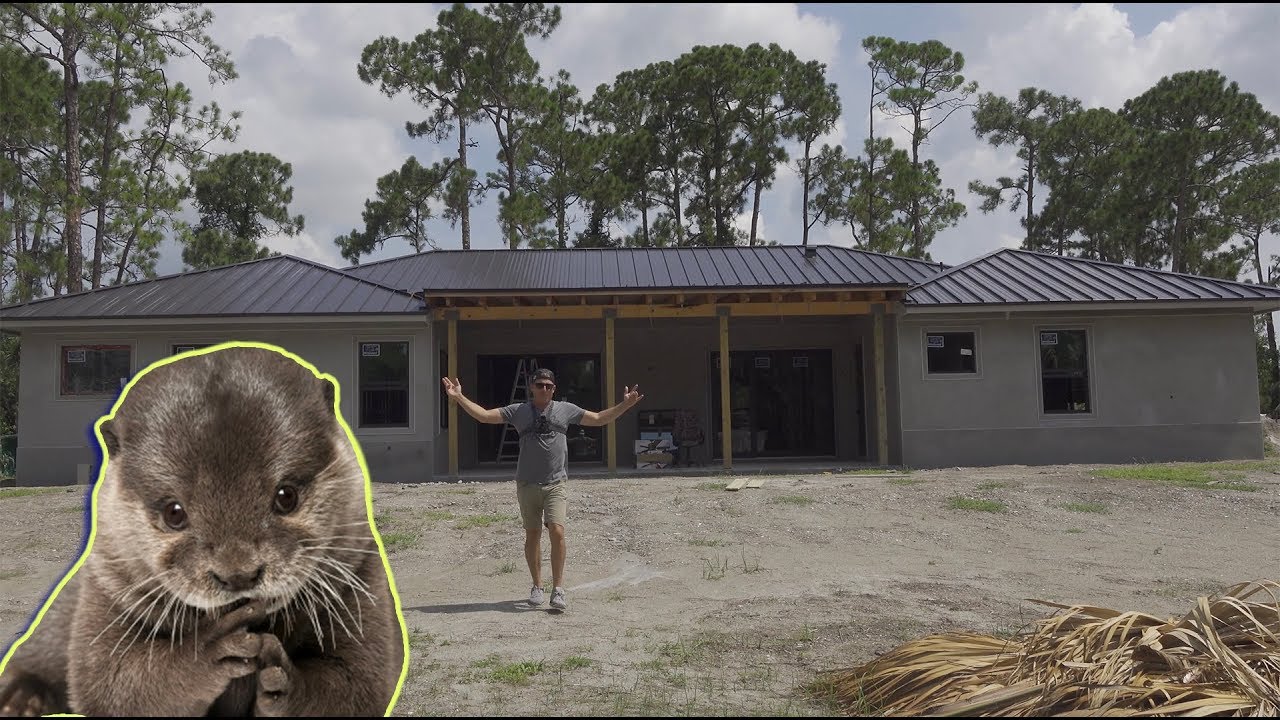 Building Our DREAM HOME Ft. Kia the CUTE baby OTTER!