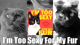 I'm Too Sexy For My Fur [Official Music Video] - Dusty Douglas
