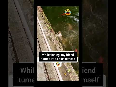My Cat Tries to Catch Fish and Fails Hilariously!#CatFail, #FunnyCats, #PetHumor, #CatFishing,