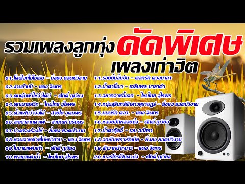 รวมเพลงลูกทุ่งคัดพิเศษเพลงเก่า