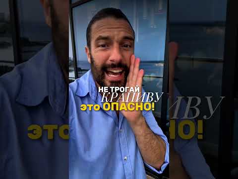 Культурный шок с привкусом «ma dai, sul serio?» — для итальянца 🇮🇹