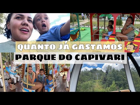 A ESTRADA MAIS PERIGOSA DA VIAGEM | CHEGAMOS EM CAMPOS DO JORDÃO + ANDAMOS DE TELEFÉRICO | GASTOS!