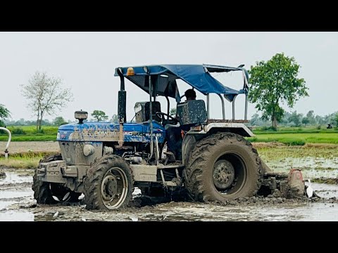 धान के लिए कददु करने के लिए कितना पानी चाहिए गहरा चलाए या हल्का Powertrac Euro 60 4x4