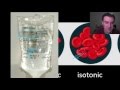 Osmosis and Solution Concentrations
