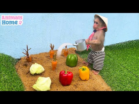 A Day in the Garden with Monkey Bibi – Fun Farm Vlog for Kids