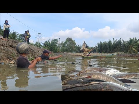 Detik detik paling menegangkan!!!saat ikan monter terbang diangkasa//panen melimpah