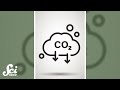 Understanding Carbon Management and Climate Solutions