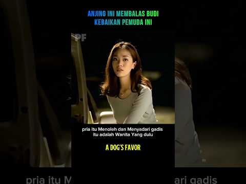 Anjing ini membalas kebaikan seorang pemuda #cuplikanfilm