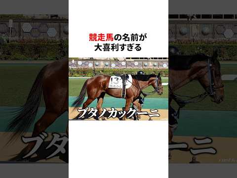 競走馬の名前が大喜利すぎる