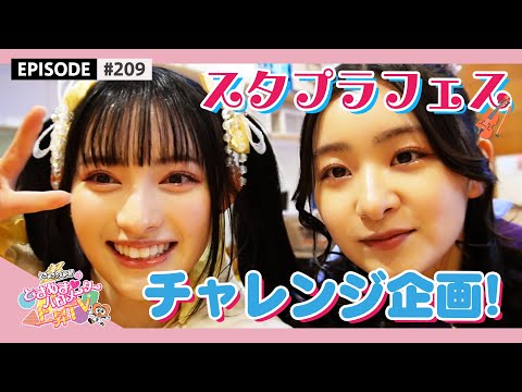 [Tokibaro TV] #210 The day before rehearsal & challenge planning pre-recording for Stapla Fes