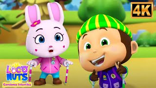 Loco Nuts Canción de senderismo con más vídeos divertidos para niños