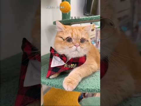 Bontot Kembali Ke Rumah