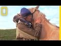 Journey Through the Steppe