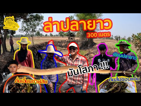 เซียนหรั่ง l วิถีชีวิตแบบมะลายยายอยาก l ตอน ล่าปลายาว