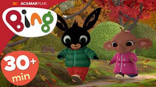 Bing Episoade Complete | 5 x Episoade | Bing România