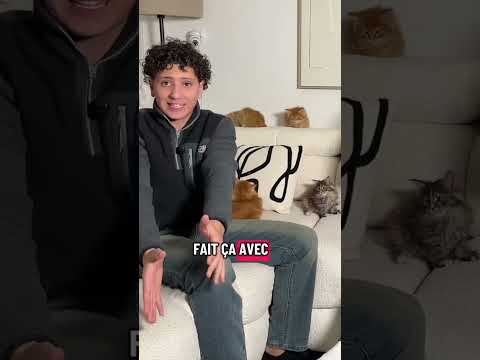 Voici toute la vérité... (TikTok 👉 laprofdesreseauux) #shorts