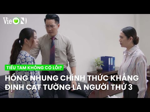 Hồng Nhung chính thức khẳng định Cát Tường là người thứ 3 | Tiểu Tam Không Có Lỗi?