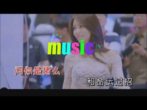 王若熙-你是豬嗎KTV 伴奏 no vocal 無人聲 music 純音樂 karaoke 卡拉OK 伴唱王若熙-你是豬嗎