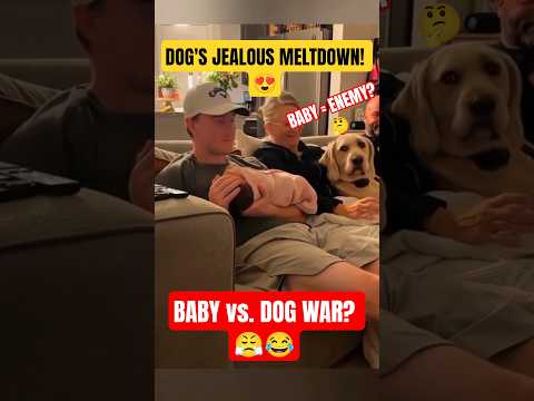 Why I Watch This Daily: Ultimate Dog Joy Compilation 🎉😂 #dog #dogs #dogfails