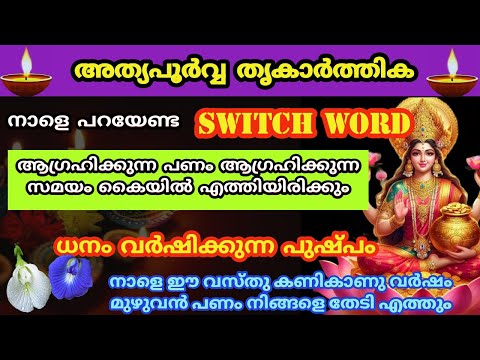 നാളെ അടുക്കള അടയ്ക്കും മുൻപ് ഈ കാര്യം ചെയ്താൽ തല വര തെളിയും.. തൃകാർത്തിക 2024.Karthika deepam 2024