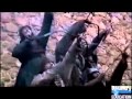 The Black Death: A Historical Overview